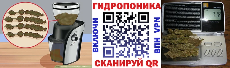 darknet клад  Смоленск  Cannafood конопля  KRAKEN вход 
