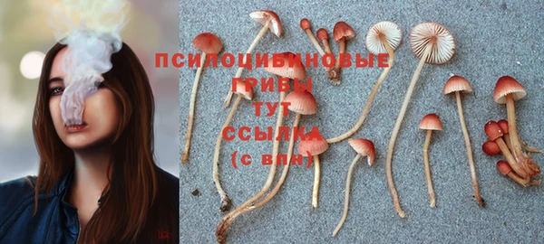 таблы Бронницы