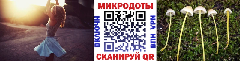наркота  Смоленск  OMG онион  Галлюциногенные грибы Psilocybe 